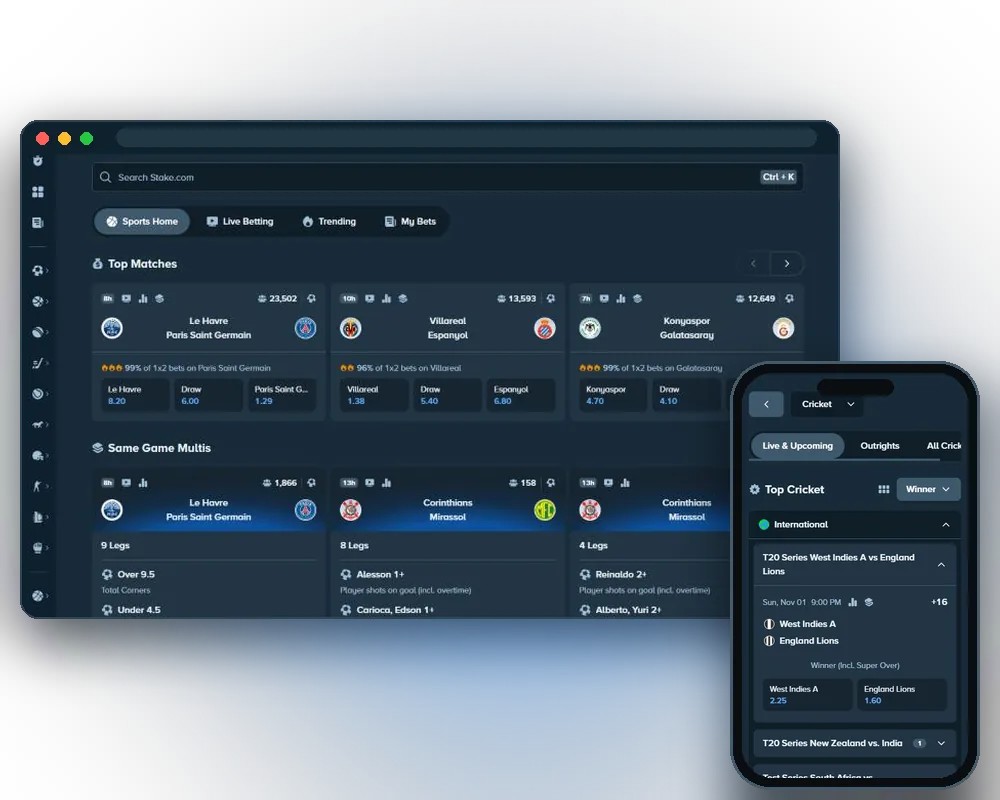Stake sportsbook home on desktop and cricket markets on a phone